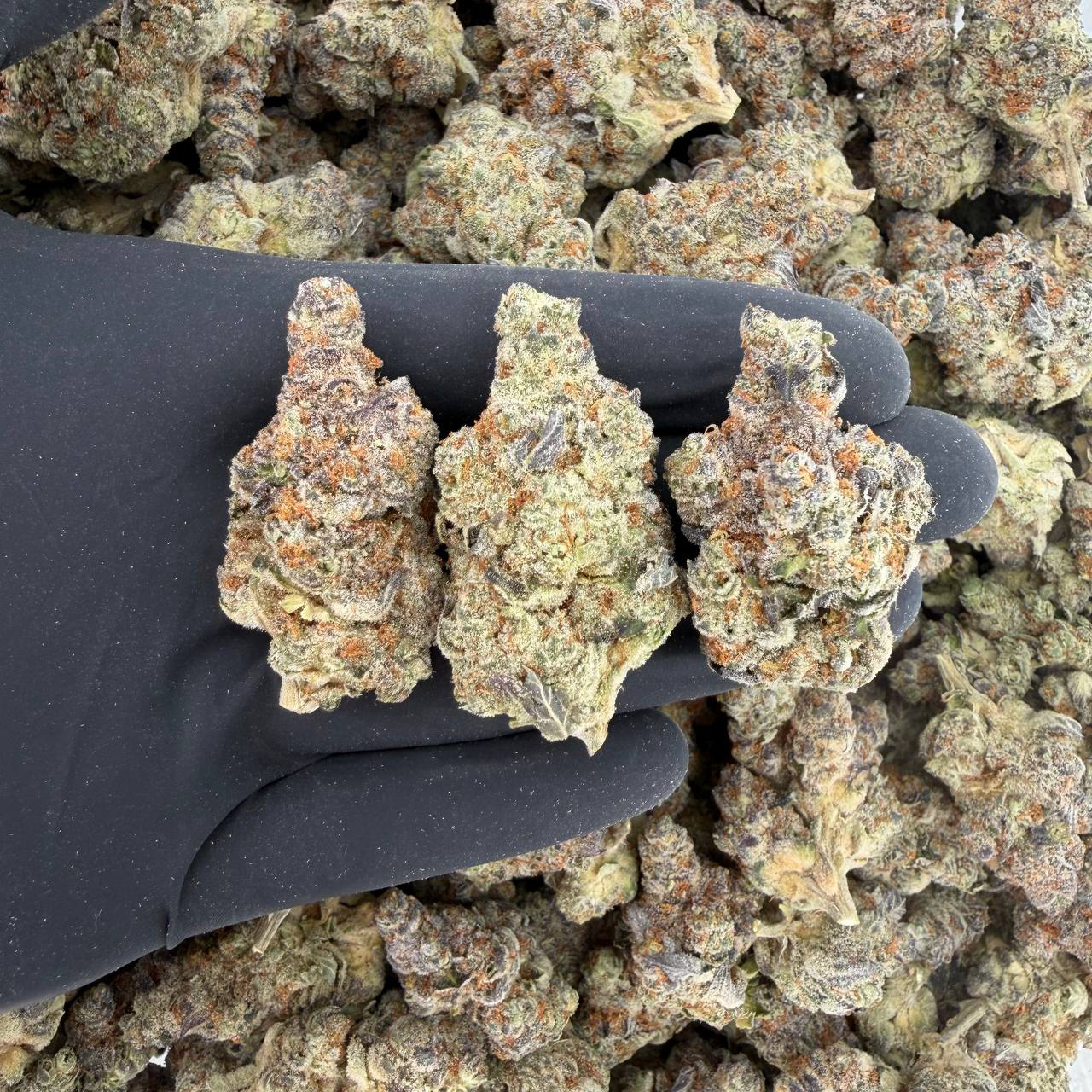 Strawberries & Cream