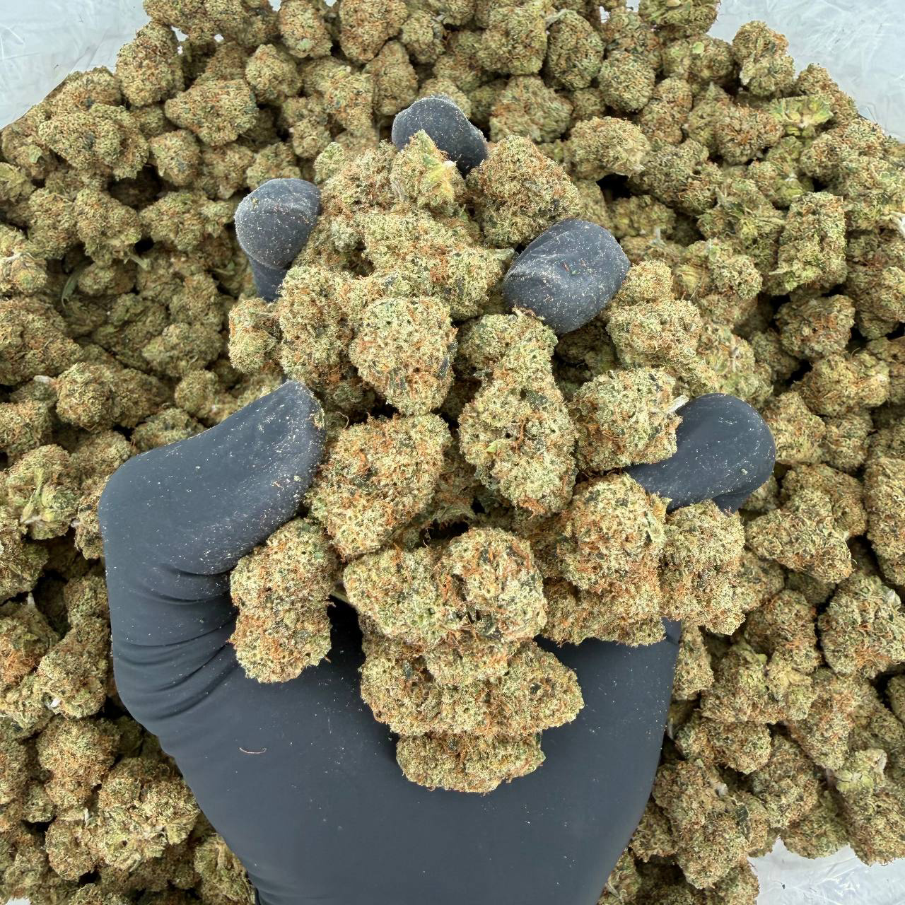 Platinum Smalls: Skywalker OG