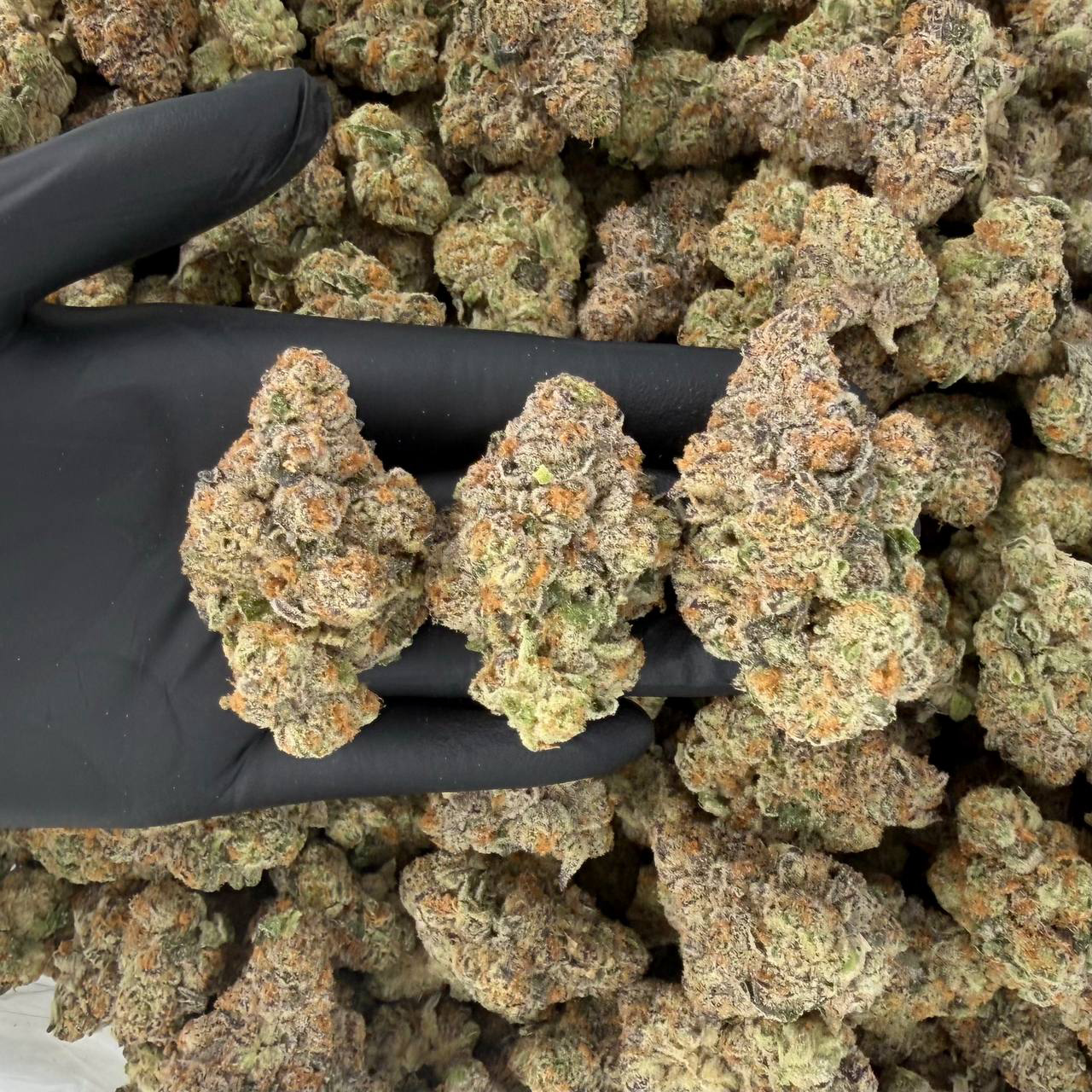 LA Pineapples (Rapper)